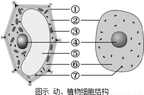 阳离子染料与防涡流夹具的区别