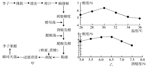 炭雕原材料