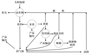 常用碱性染料