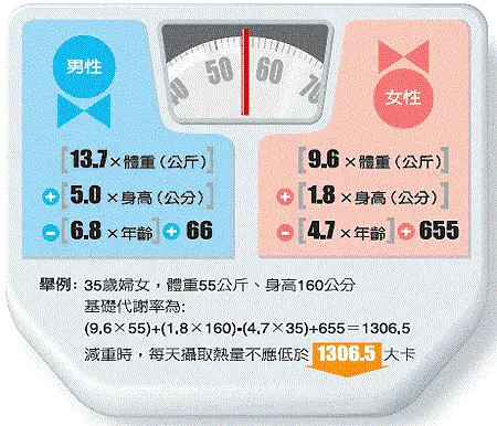 入门版解析，减肥水果的选择与精细设计的健康之路，高效实施设计策略_储蓄版35.54.37