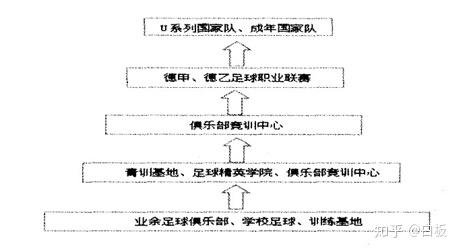 小腿提踵怎么做