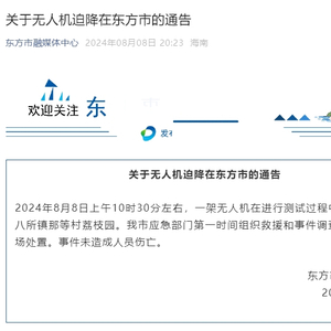 海口通报一小学生高坠死亡事件，深入数据策略解析，深层策略执行数据_粉丝版12.59.79