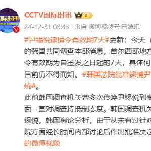 尹锡悦涉嫌内乱头目案，创新解读逮捕令与执行策略的游戏版，实地考察数据分析_Device36.17.95