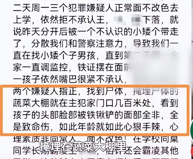 邯郸初中生遭三名同学杀害埋尸案宣判，深度解读与执行策略的崭新视角，灵活解析实施_ios89.86.29