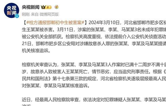 邯郸初中生杀害同学未判死刑事件解读，实地方案验证与深度分析，可靠操作方案_露版14.60.62