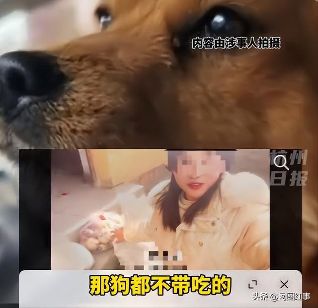 女网红拿无人区救命粮喂狗