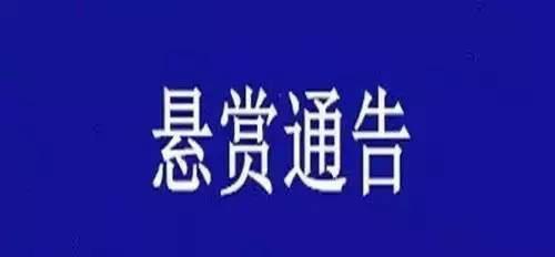 青海警方悬赏通缉在逃人员韩妮娜，精细评估与公众参与的力量的展现，数据导向方案设计_AP60.67.23