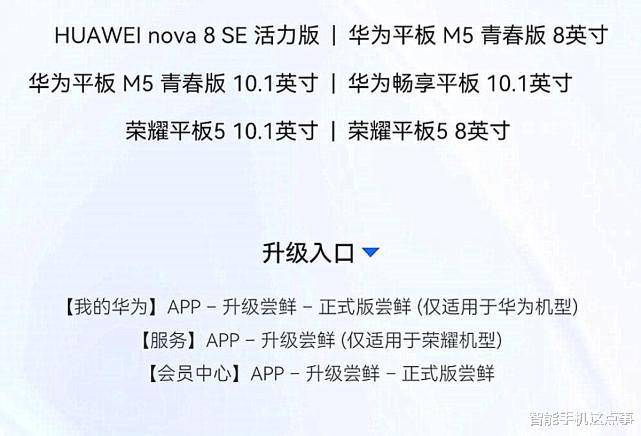 樊振东收到罚款文件后的积极应对与实地计划设计验证之旅，科学数据解释定义_纪念版76.67.36