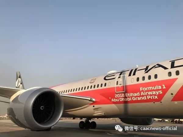 阿航空难因客机遭地面攻击