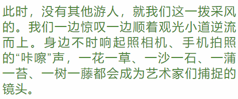 《冬至》这样的神仙公婆给我来一打