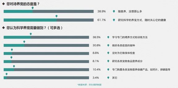 高价宠物殡葬收费达万元