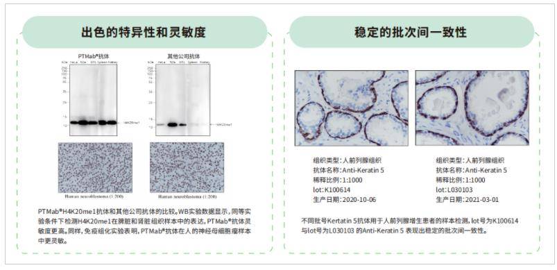 溴门正版资料免费更新澳门正版