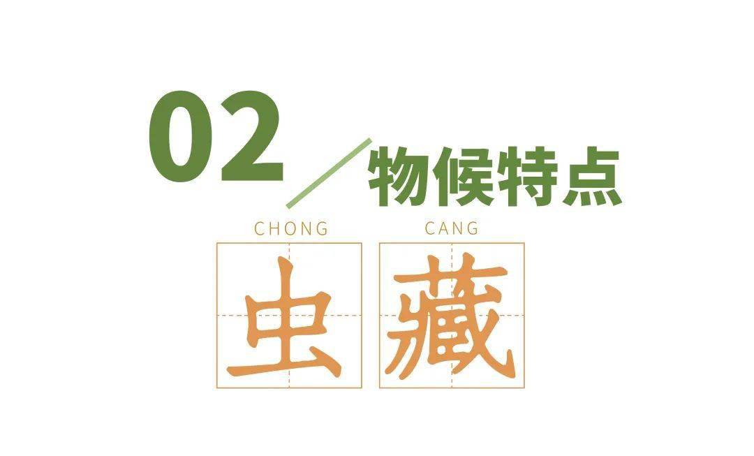 新奥logo是谁设计的